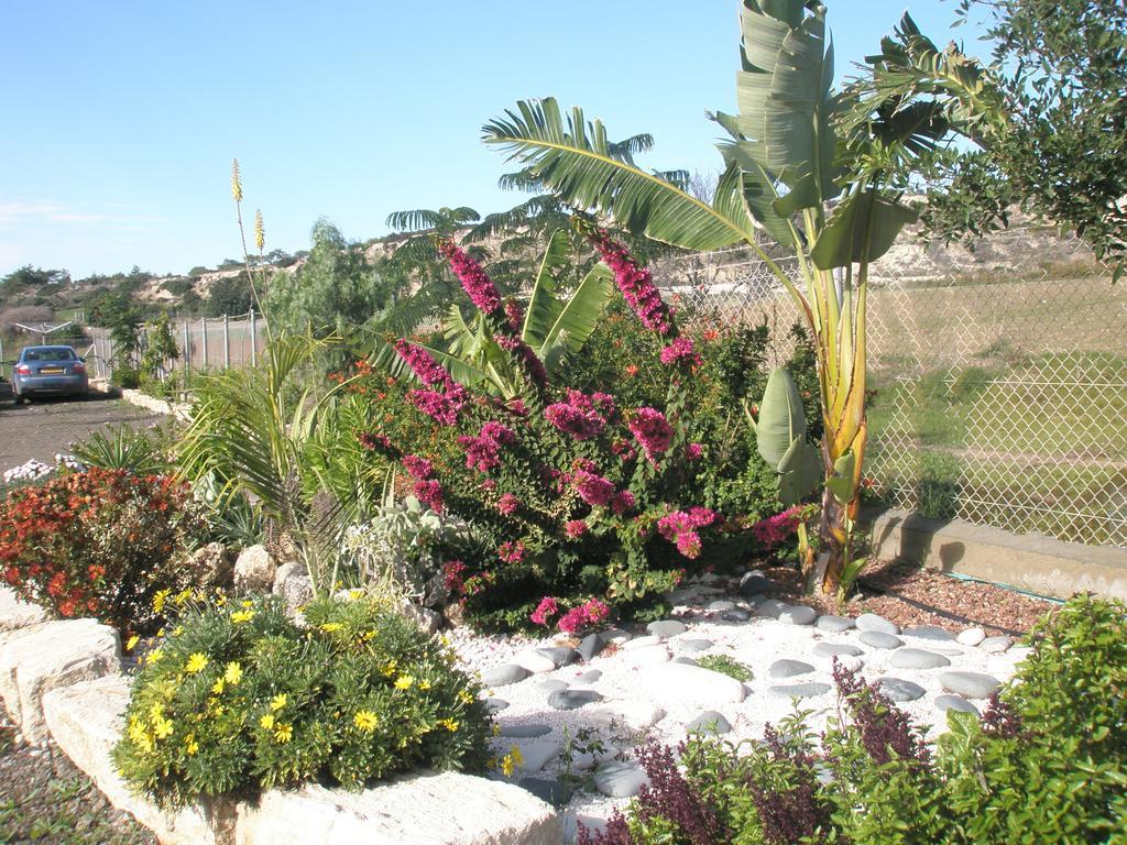 Ferienhaus Paradise Traditional House Maroni
