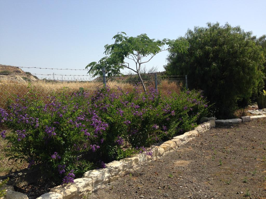 Paradise Traditional House Maroni